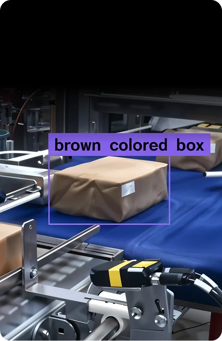 Machine Vision